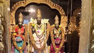  Divine Blessings Experience Thaipusam at Highgate Hill Murugan Temple | kavady