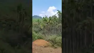 On the way to jog falls || nature || travel #karnataka #travel #viralvideo