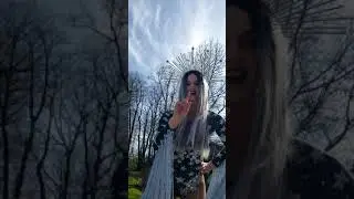 Stilt Video