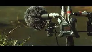 Gentle Stream - Field Recording (ZOOM F3/Rode M5 - Canon EOS M/Magic Lantern)