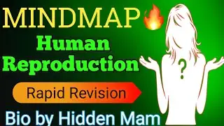 Class 12 Human Reproduction Rapid Revision🔥 (BOARDS + NEET) #neet #biology #yt