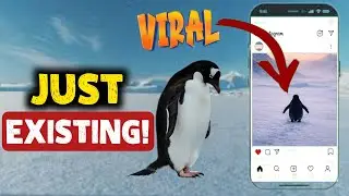 Why People Relate To This Penguin | A Silent Walk | MagnifyMax