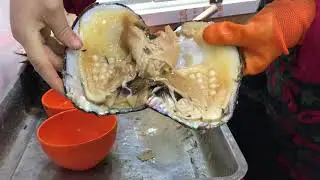Pulsera de perlas con una Ostra en China | oyster pearl | china