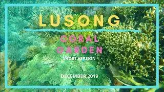 LUSONG CORAL GARDEN, Coron, Philippines - Dec. 2019 (Short version)
