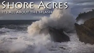 Shore Acres, an awesome state park in the central Oregon coast. It's all about that splash!