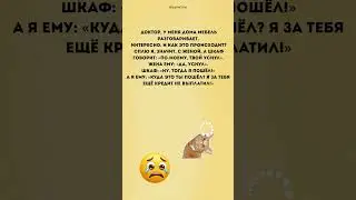 #юмор #свежиеанекдоты #анекдоты #шуточное