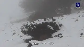 الثلوج في منطقة الهيشة بجبال الشوبك جنوب الأردن (25/2/2020)