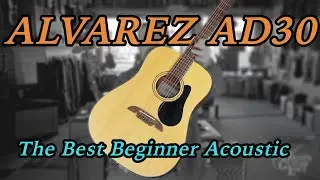 Stop Buying Cheap Guitars! Why the Alvarez AD30 is the Perfect Starter