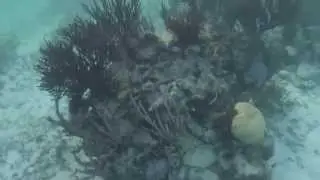Soliman Bay Mexico