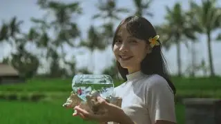 Linka Beli Ikan Cupang (4K)
