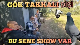 Gök Takkalı Dişiyi İzledik Seferler Harika Gökhan Reis Sanatını Konuşturuyor