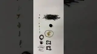 Self organizing principle (stop motion animation)