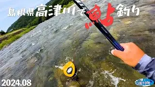 【鮎釣り】島根県高津川で鮎釣り【2024年8月】