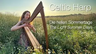 Celtic Harp solo and duo 