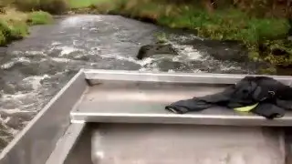 Spływ Liswarta ł&oacute;dką z Zawad do Władysławowa