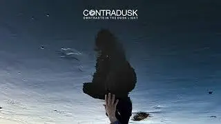 Contradusk & Anna Carlyle - New Love Fleeting (Official Audio)