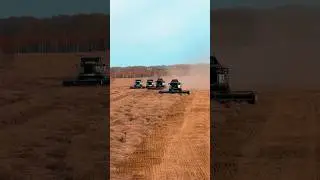 Грызут с последних сил