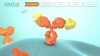 Revolutionizing Antibody Discovery: Iontas' Mammalian Display Technology | Life Science Animation