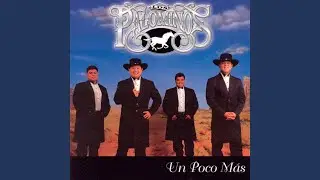 Amor Vaquero