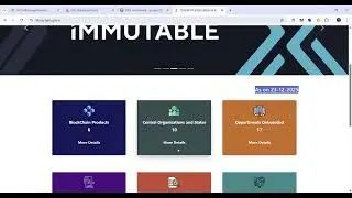 Indian Government Blockchain and RWS