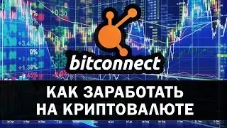 Bitconnect - как заработать на криптовалюте Битконнект