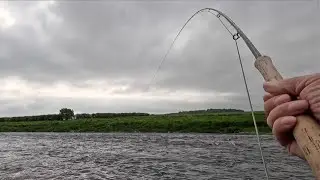 Salmon fishing at Upper Floors on the river Tweed 17th May 2024