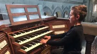 Staroselskyi Denys, student of Sumy Children's Music School No. 4, Ukraine