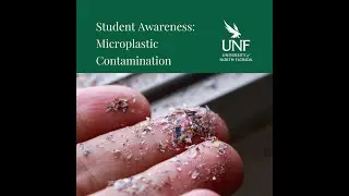 How We Can Solve The Micro Plastic Crisis