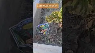 Healthy Community Unity #fypシ゚viral  #community #vegan #vegansbynature #outdoors #holistichealth