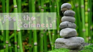 7 minutes of mind relaxing meditation music|Soothing Relaxation|MindPalace
