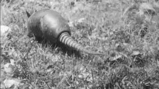 How Animals Defend Themselves (1948)