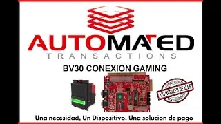 BV30 CONEXION GAMING - PULSOS