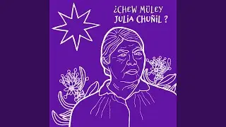 ¿Chew Müley Julia Chuñil?
