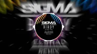 Sigma ft. Birdy - Find Me (Elshad Remix) [Visualizer]
