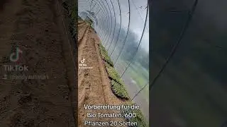 Austria Andy unterwegs. vorbereitung bio Tomaten. #bio #organic #tomate#pflanzen #biologisch #gem&uuml;se