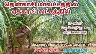 #தென்காசி மாவட்டத்தில் || ஏக்கர் 6 லட்சத்தில்15 ஏக்கர் கிணறோடு தென்னந்தோப்பு🌴விற்பனைக்கு 📞9755395593
