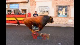 ULTIMO ENCIERRO DE OLIAS DEL REY 2023