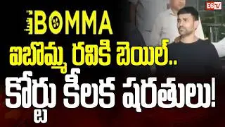 iBomma Founder Ravi Released on Bail | Strict Conditions Imposed by High Court | E6 TV
