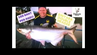 SINTARA FISHING PARK PATTAYA £2.40 / rod. Double header with Danzak featuring a gatecrashing Mekong!