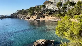 Cala Fornells 💚 wundersch&ouml;ner Morgen 🌅💚 Mallorcas Lieblingsorte 🌴 klare Wasser & Sonne pur ☀️🍀