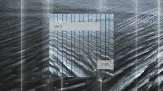 Dynamic Reflection Podcast Series 019: Viels
