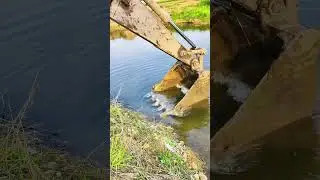 Catching Fish with an Excavator Is Harder Than It Looks