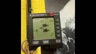 Fish Game Concept2