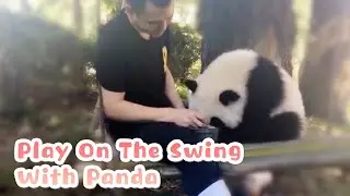 Swing With Cute Baby Panda Makes Me Envy | iPanda