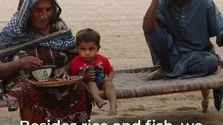 Azar Abbas, a Pakistani farmer, uses rice-fishing technique to improve harvest and nutrition