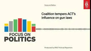 Coalition tempers ACT&rsquo;s influence on gun laws | Focus on Politics