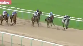 Southwell Horse Racing Full Highlights! November 3rd 2020