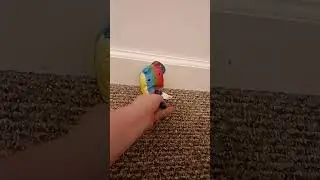 someone shot me in the balls with a Nerf gun