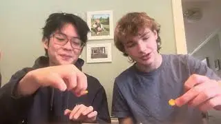Bite Check season 1 episode 2 (Hot honey goldfish)