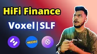Hifi Finance, Voxel & Self Chain Trap? What&rsquo;s Really Happening!